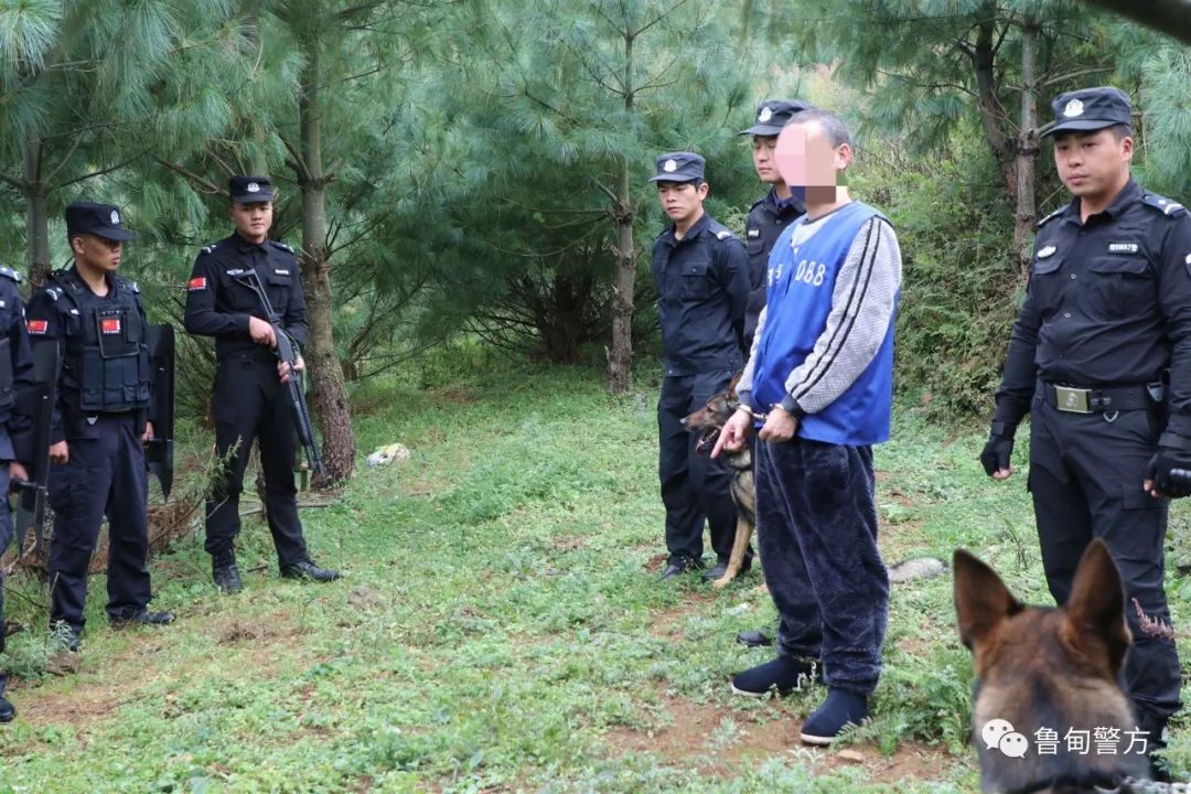 鲁甸真实李长谷图片图片