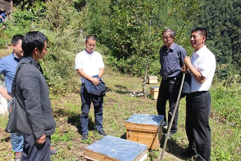 贡山县老县长图片