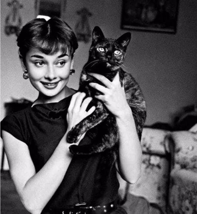 奥黛丽·赫本 与她的猫