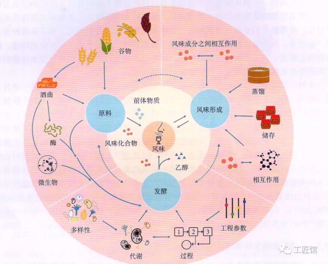 可怕!你喝下去的每一杯白酒中,都有上千种微生物代谢产物 _中国