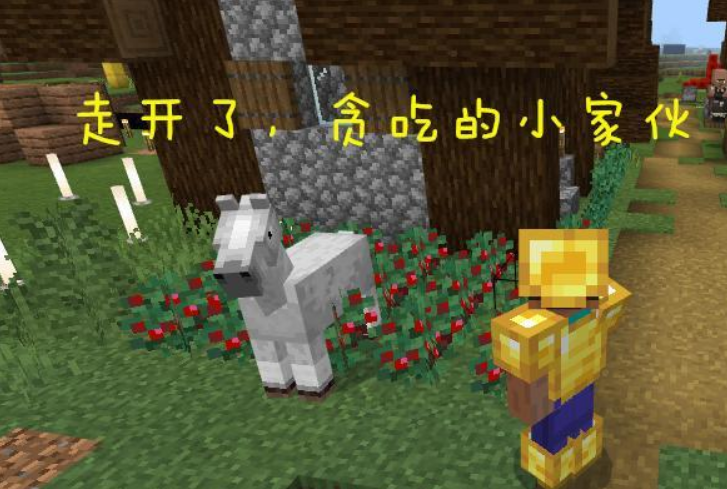 我的世界关于甜浆果的4个特殊用途利用价值太大了