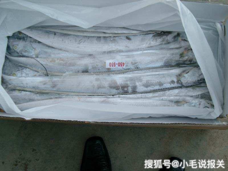 進口國外的冷凍魚產品報關的要求