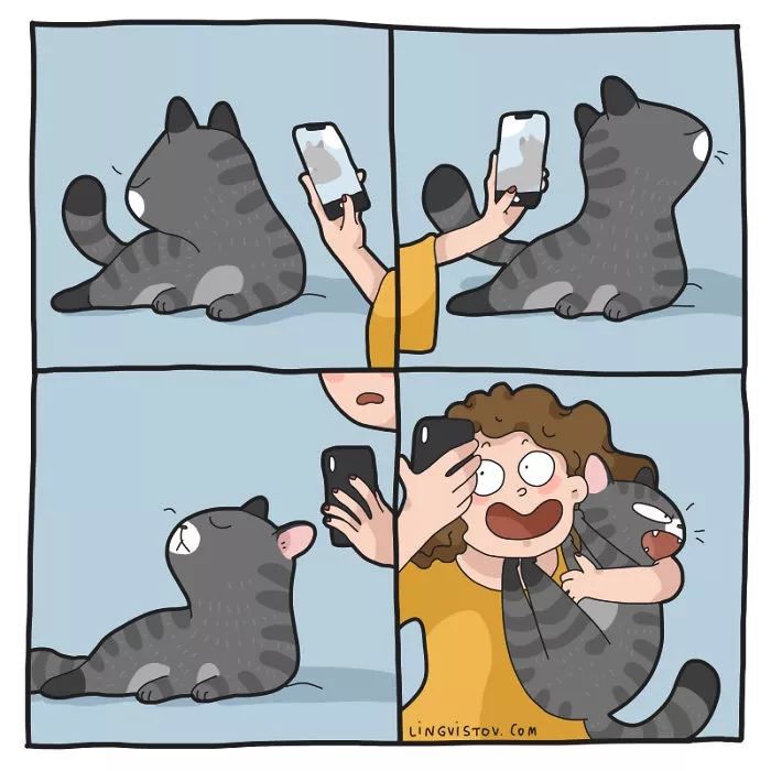 原创养猫很有趣吗?艺术家用插画描绘出那些,搞笑又暖心的时刻