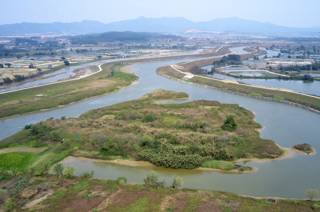 滹沱河河心岛风景区图片