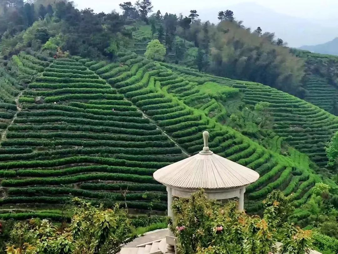 平阳朝阳山景区图片