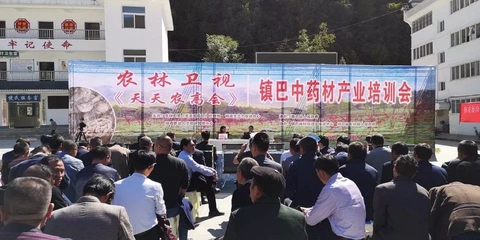 农林卫视《天天农高会》进镇巴 办培训强产业促脱贫