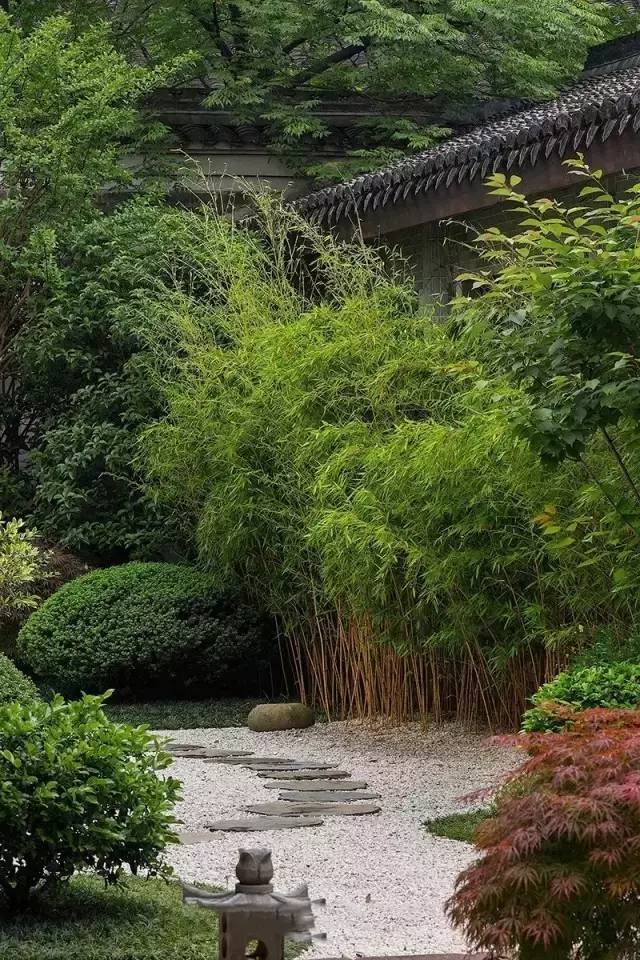 一条弯弯曲曲的不规则石径 被岁月磨平棱角后的石头 躺在幽静的小道