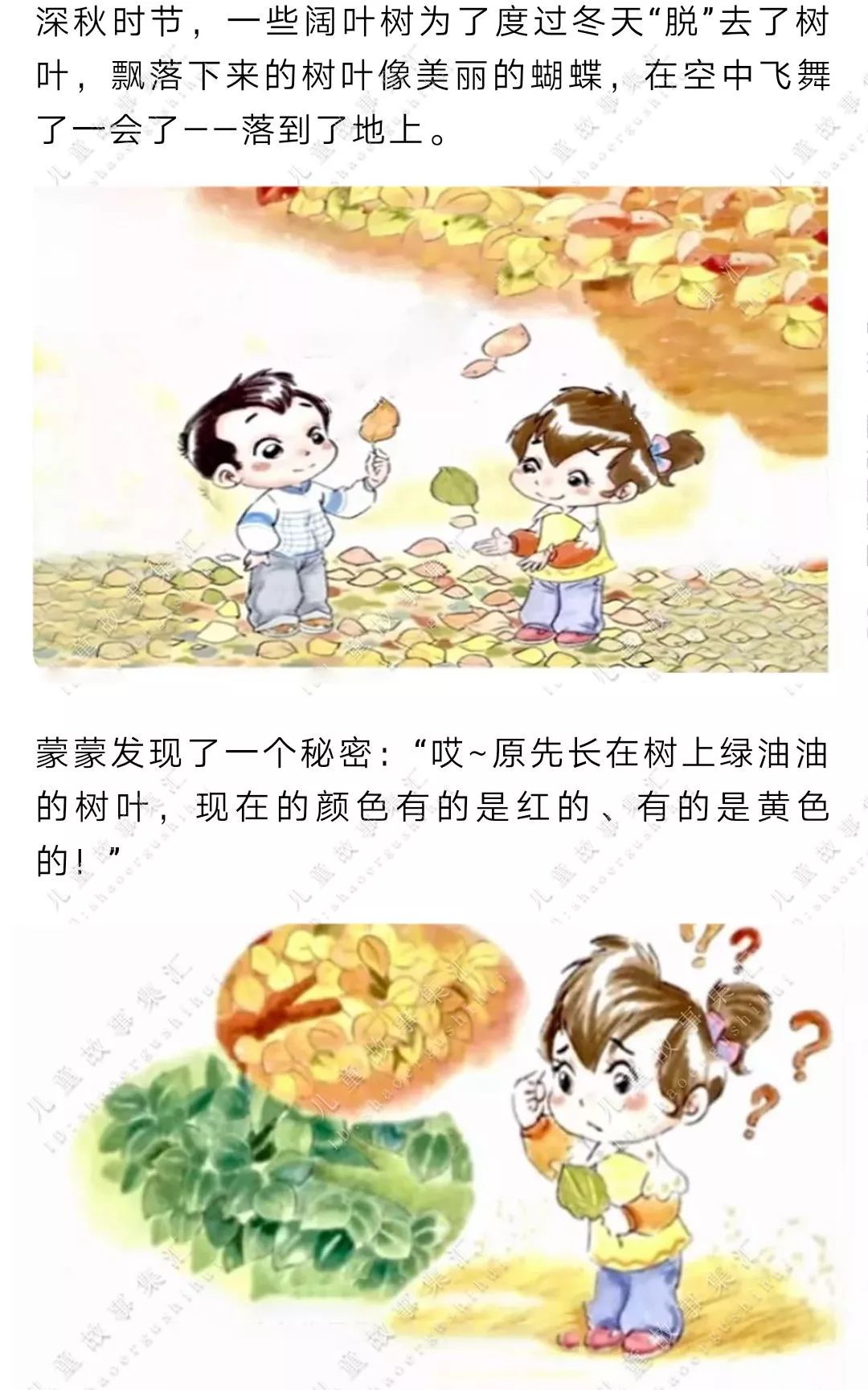 绘本故事丨《红树叶,黄树叶》主播:shirley  树叶为什么会有不同的