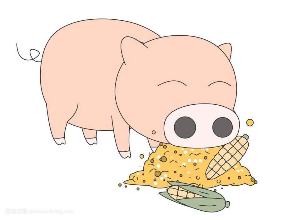 新玉米喂猪的利弊得失养猪场必须要知道的知识