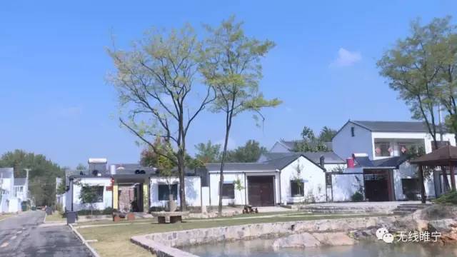 这就是大王集平凡村落华丽升级变身醉美田园乡村