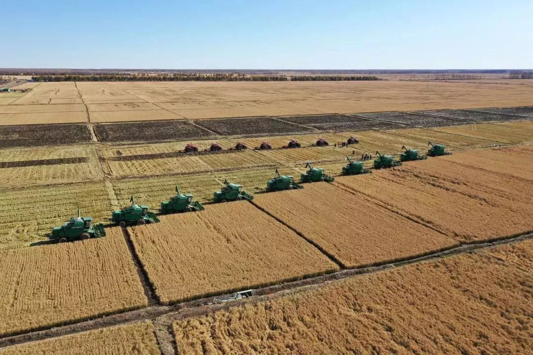 常发农装再次映入勤得利农场现代化大农业秋收壮美画面
