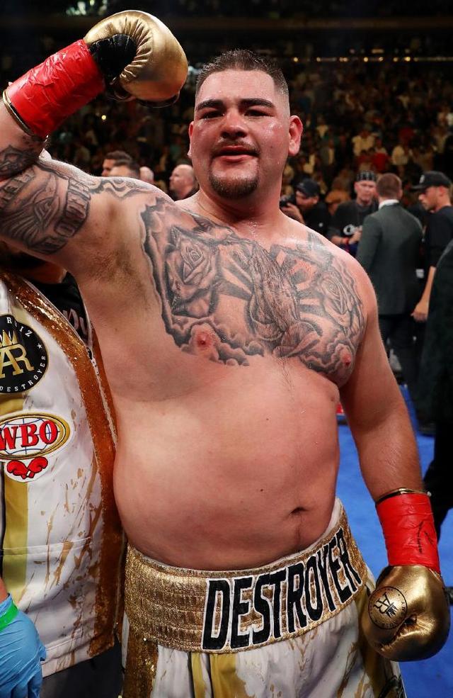 原创谁说胖子不能拿重量级拳击冠军?特点类似鲁伊兹,张君龙准备好了