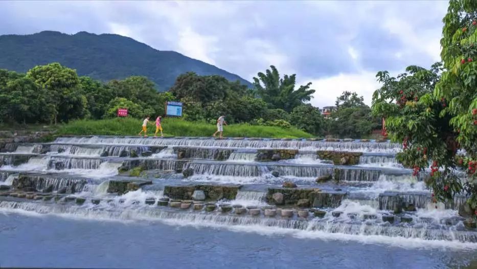 沿溪而下,步道,亲水平台,景观拦河坝在荔枝树掩映下若隐若现,生态护岸