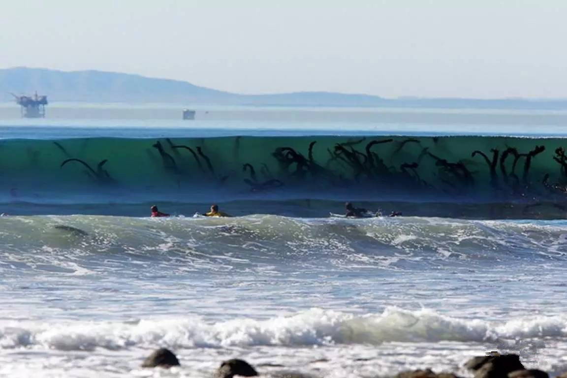 一组反映大海有多吓人的照片深海恐惧症不是没有道理的