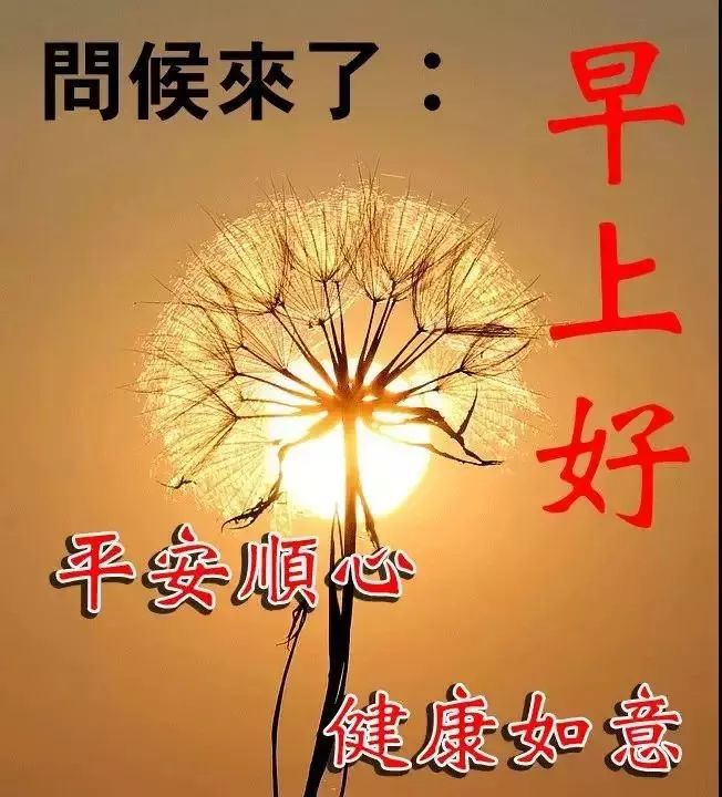 早上好秋的季节新的一天新的希望早安