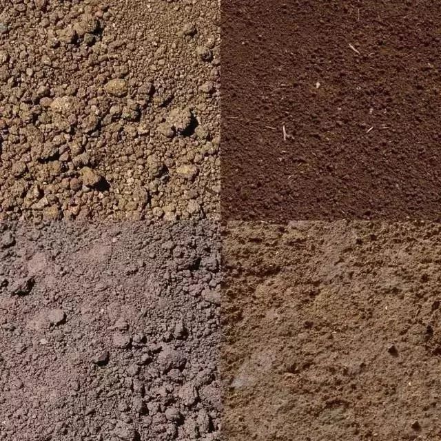 农技常见的10种耕地土壤病