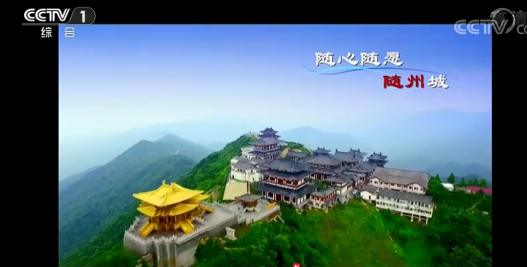 随州网站建设风起云涌：抓住机遇迎接挑战
