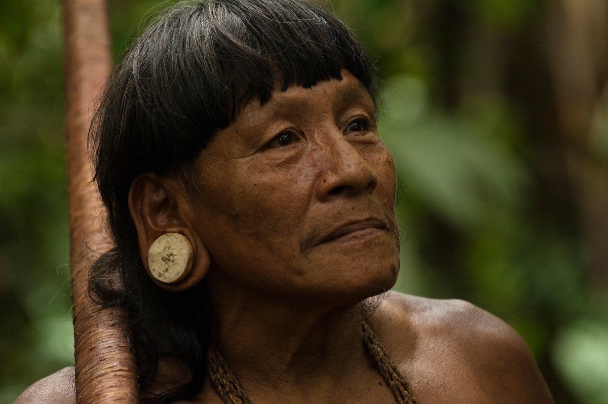 巴西亚马逊原始人图片