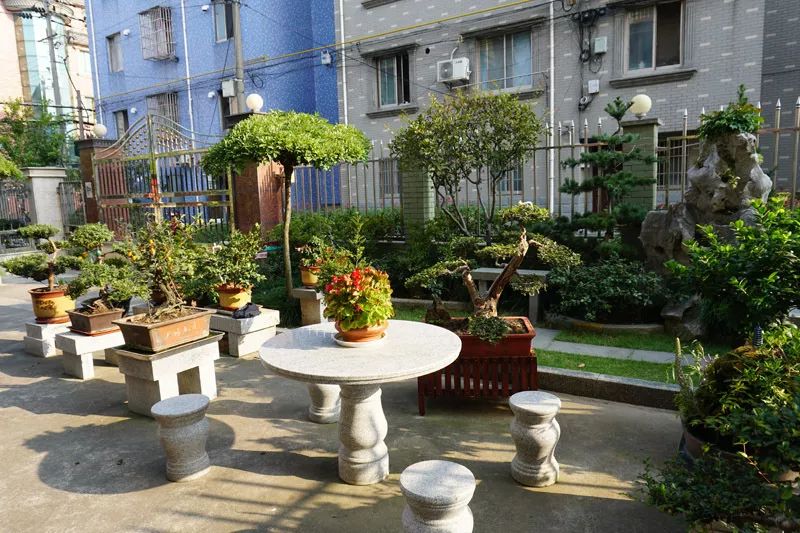 东郊社区居民都爱美化自家小院庭院微景观刷出社区新颜值