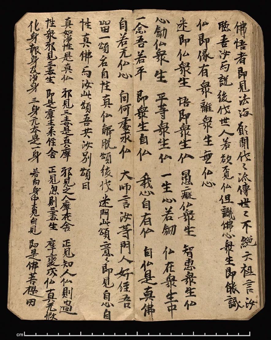 馆藏鉴赏丨敦煌本坛经