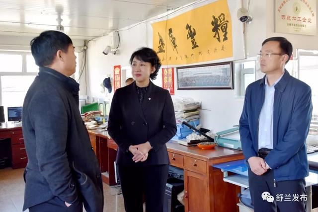 脱贫攻坚舒兰市市长金华走访慰问贫困户并调研基层软弱涣散党组织整顿