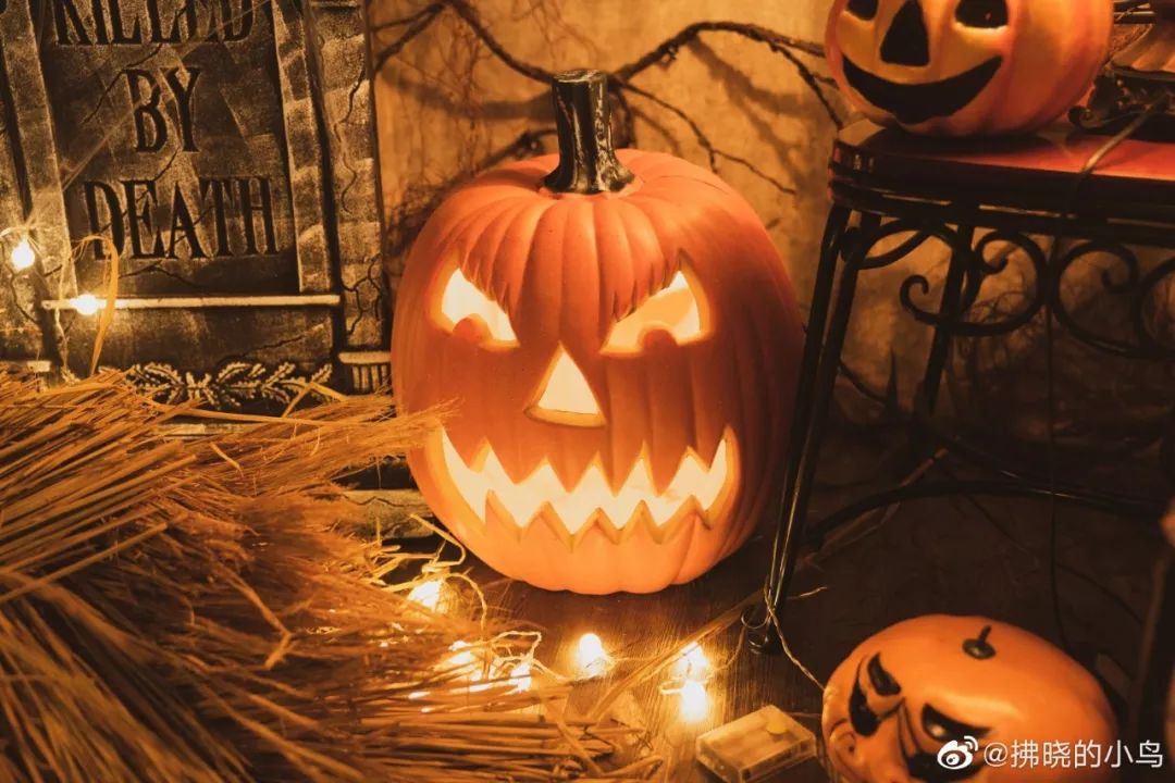 一周活动预告丨万圣节南瓜灯雕刻家庭心理学讲座严歌苓新书签售化装