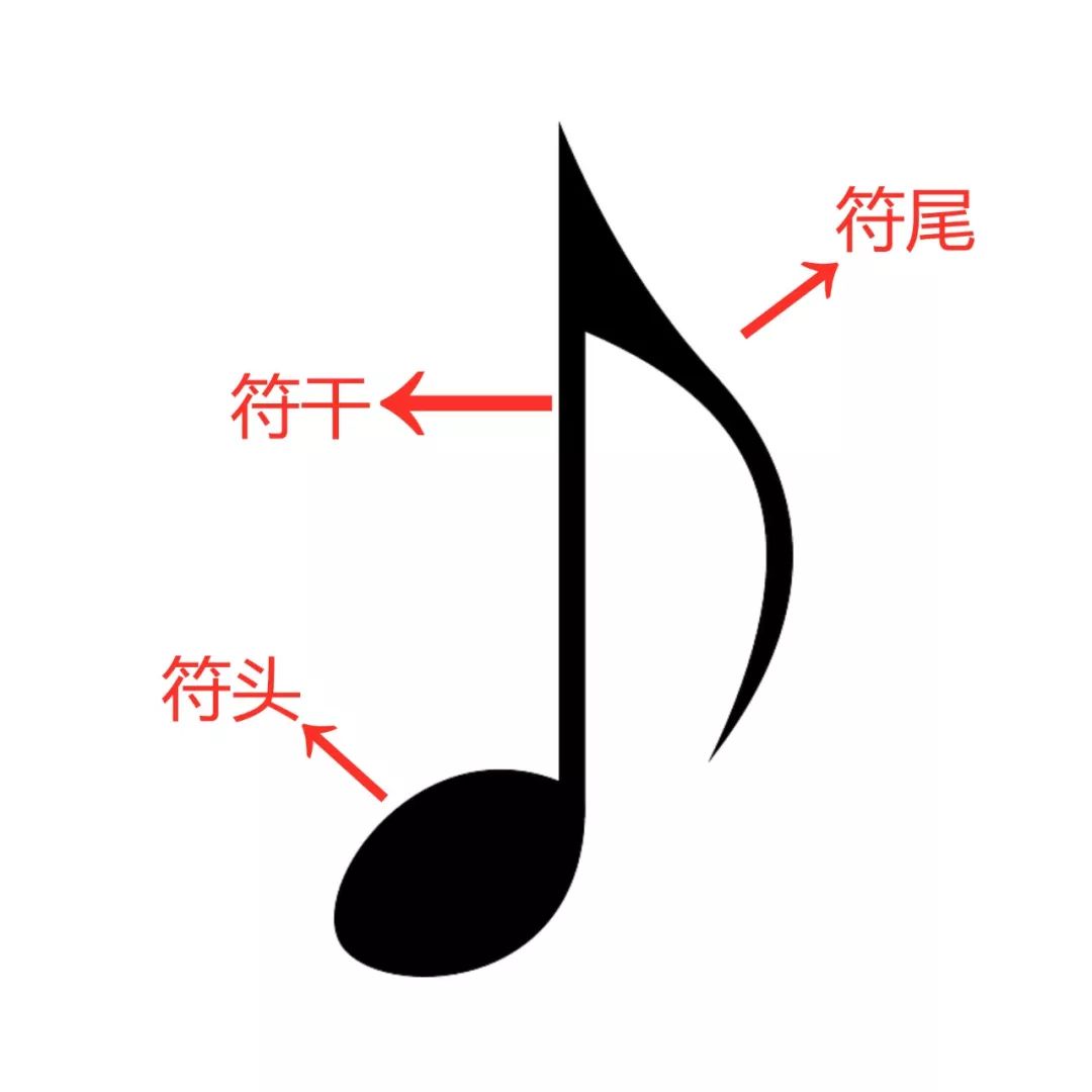 乐理知识:五线谱到底是怎么来的?_音符