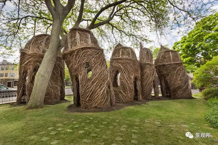 just beyond the forest curtaina walk on the wild side他可以塑造