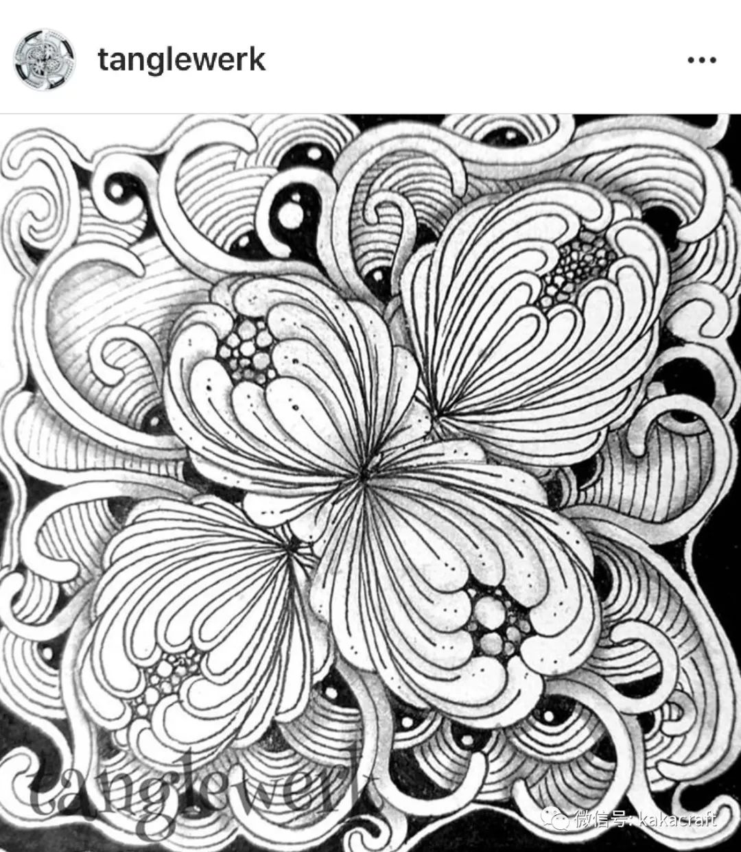 每天一张禅绕画:艾娜芙拉克丝