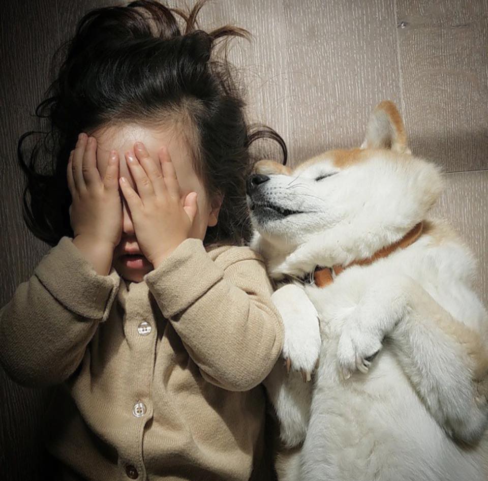 镜头下:同时长大的混血小女孩和她的柴犬