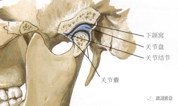 增宽,狭窄 髁突运动度的变化 两侧关节形态发育不对称 两侧关节结节