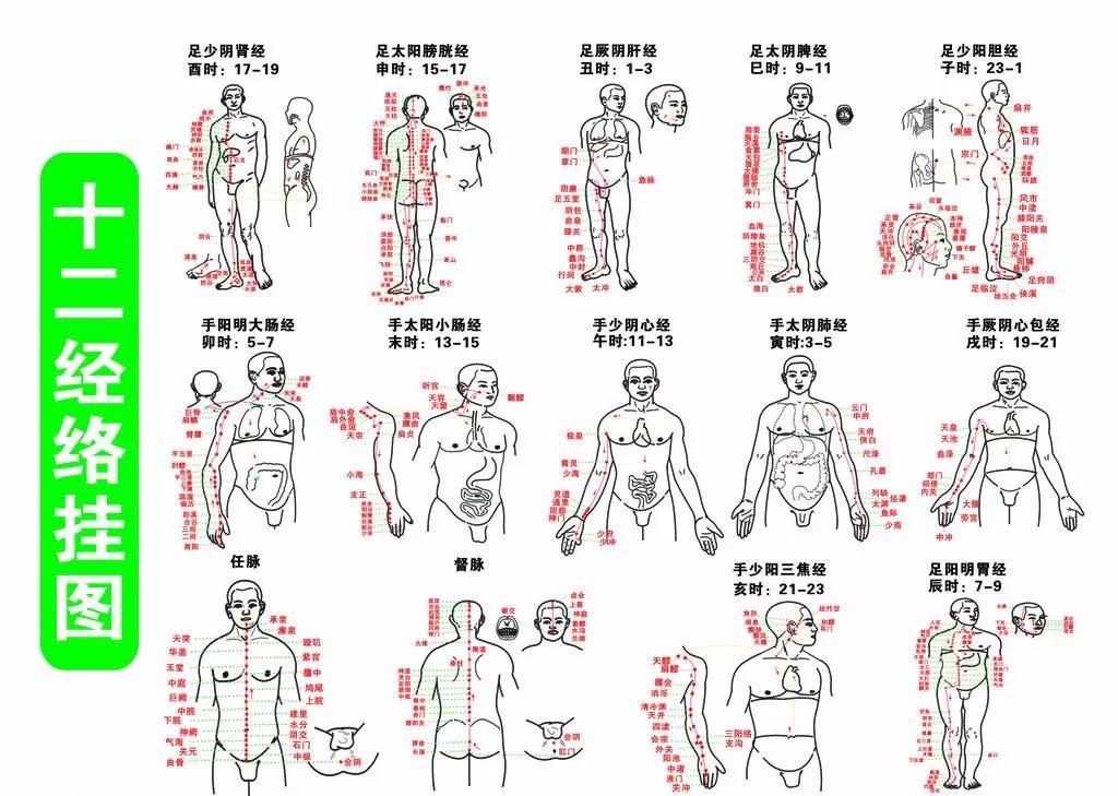 12時辰與12條經絡便於記憶法