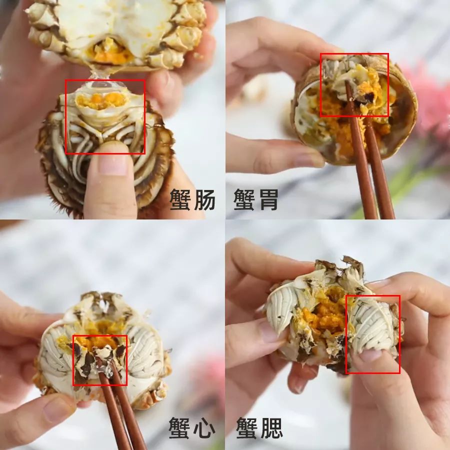 ⑤ 去掉不能食用的部位:蟹肠,蟹胃,蟹心以及蟹腮;⑥ 掰开蟹身,用勺