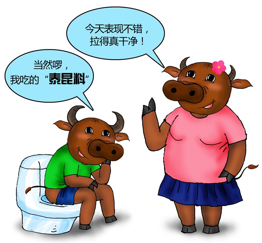 系统剖析反刍市场企业八大拓展模式深度解读珍藏版