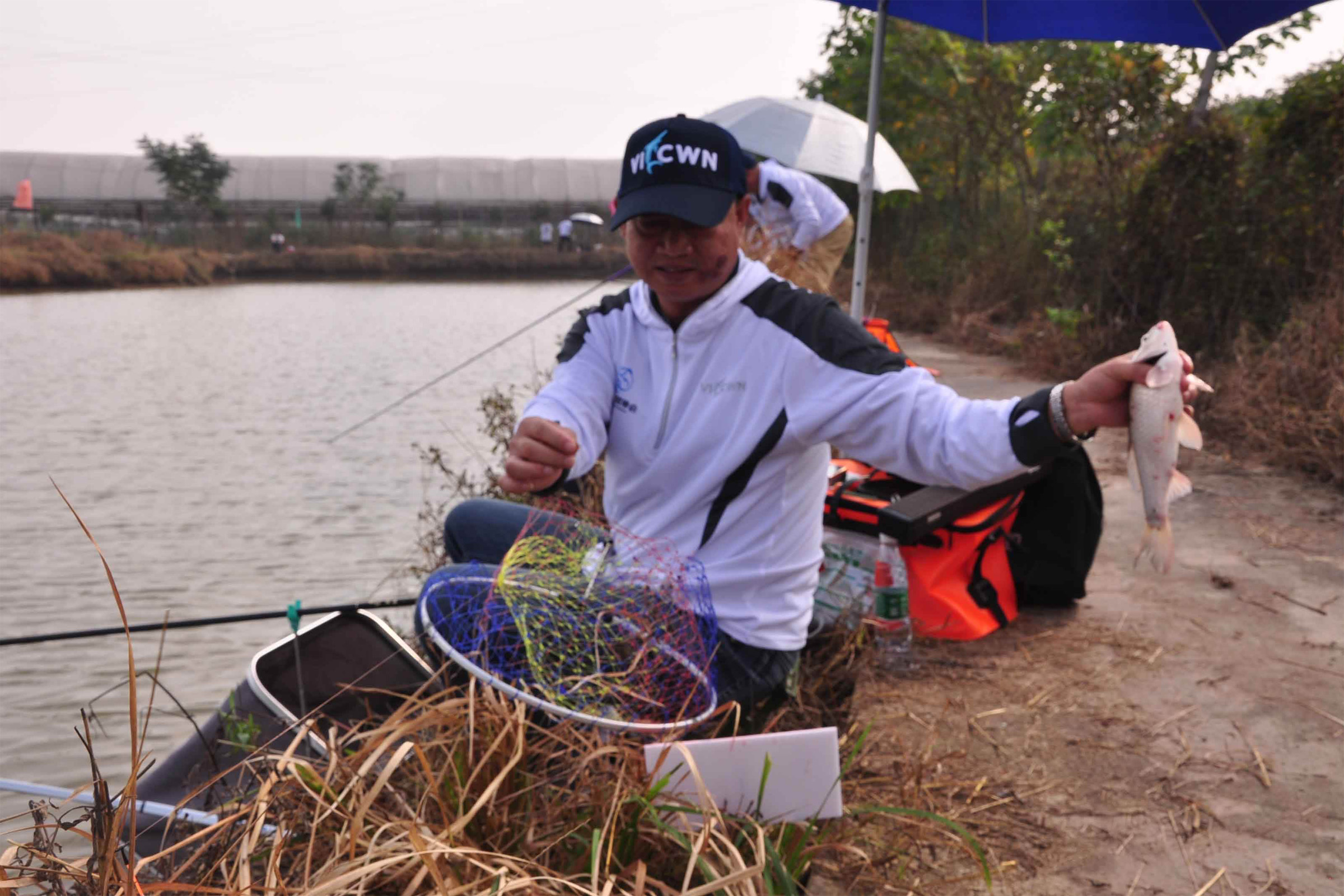 晚秋釣鯉魚用什麼味型的釣魚餌料晚秋釣鯉魚技巧和餌料搭配方法