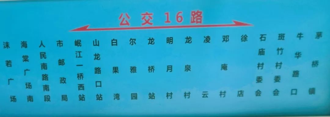 樂山16路公交車火了