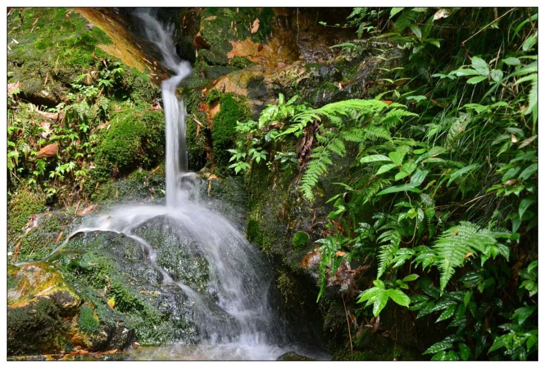 因為四周環抱著東明山而得名,而東明山則是