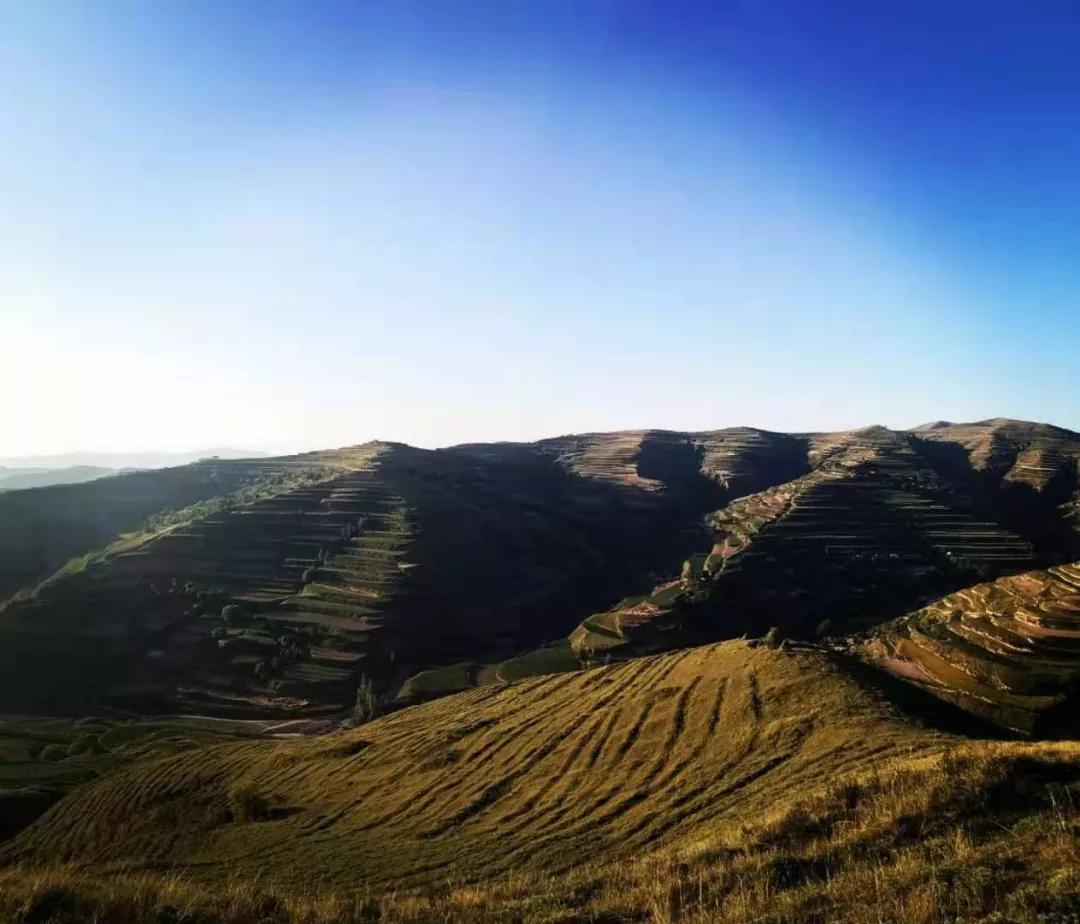 实拍甘肃定西陇西县小山村,典型的黄土高原风貌_年家掌