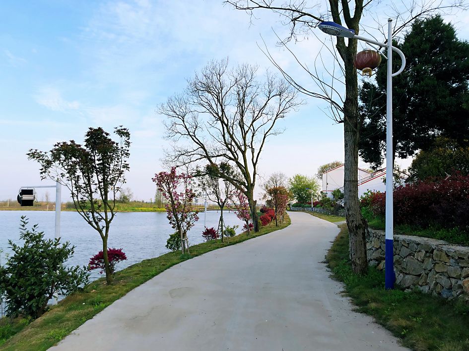 美丽乡村建设你所不知道的陈策楼镇美丽乡村