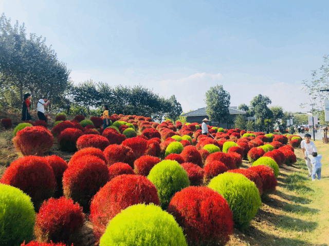 640_480gif 动态图 动图