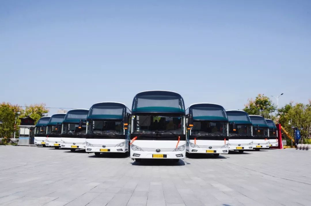 亳州市畅游旅游交通有限责任公司2019年旅游大巴驾驶员招聘公告_人员