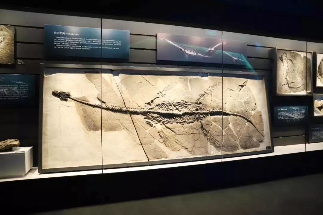 人本教育周行天下人本带你看世界这次我们来场不一样