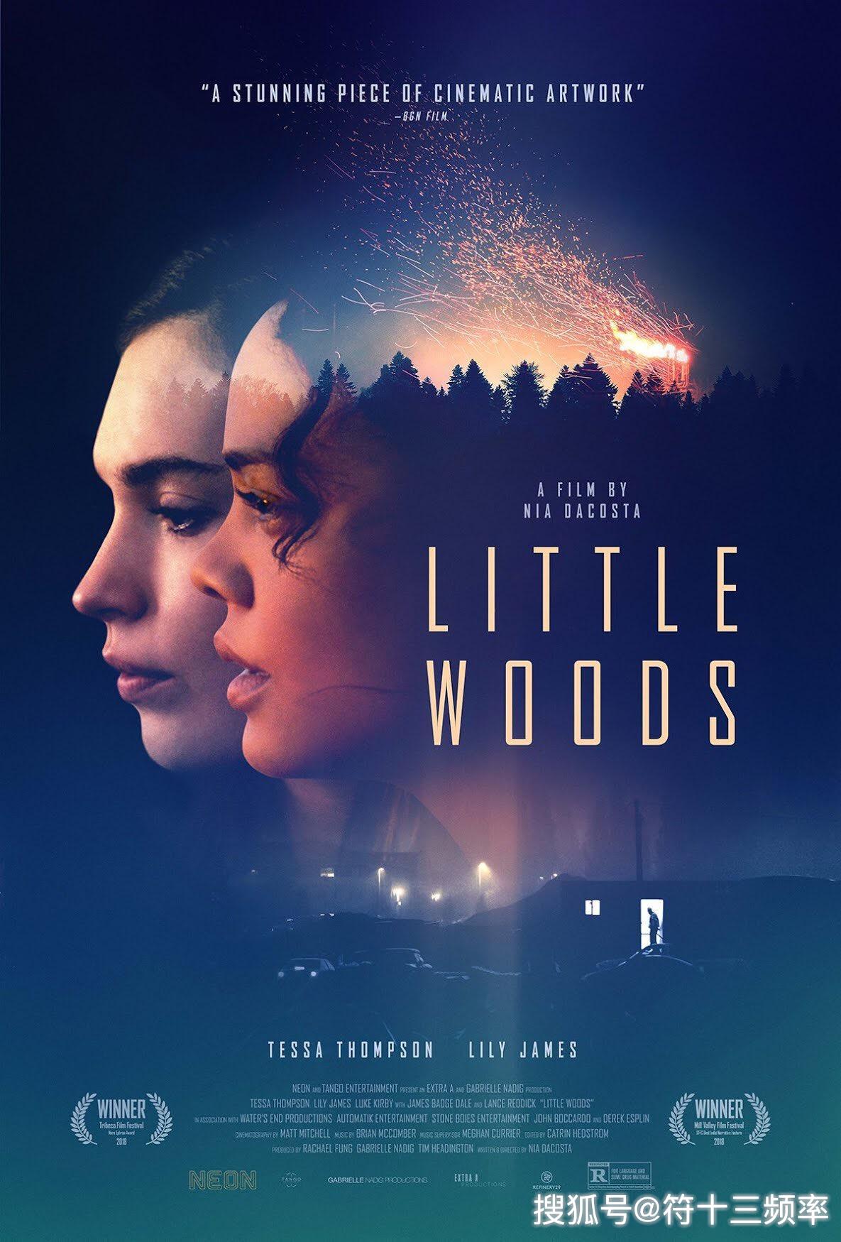 小森林 little woods (2018)这部来自泰莎·汤普森,莉莉·詹姆斯联袂