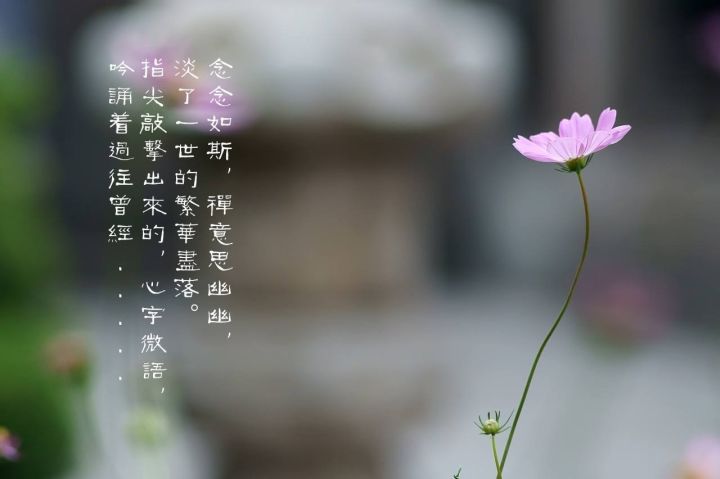 坚持到底必定有收获, 如果轻易放弃, 只会和成功失之交臂