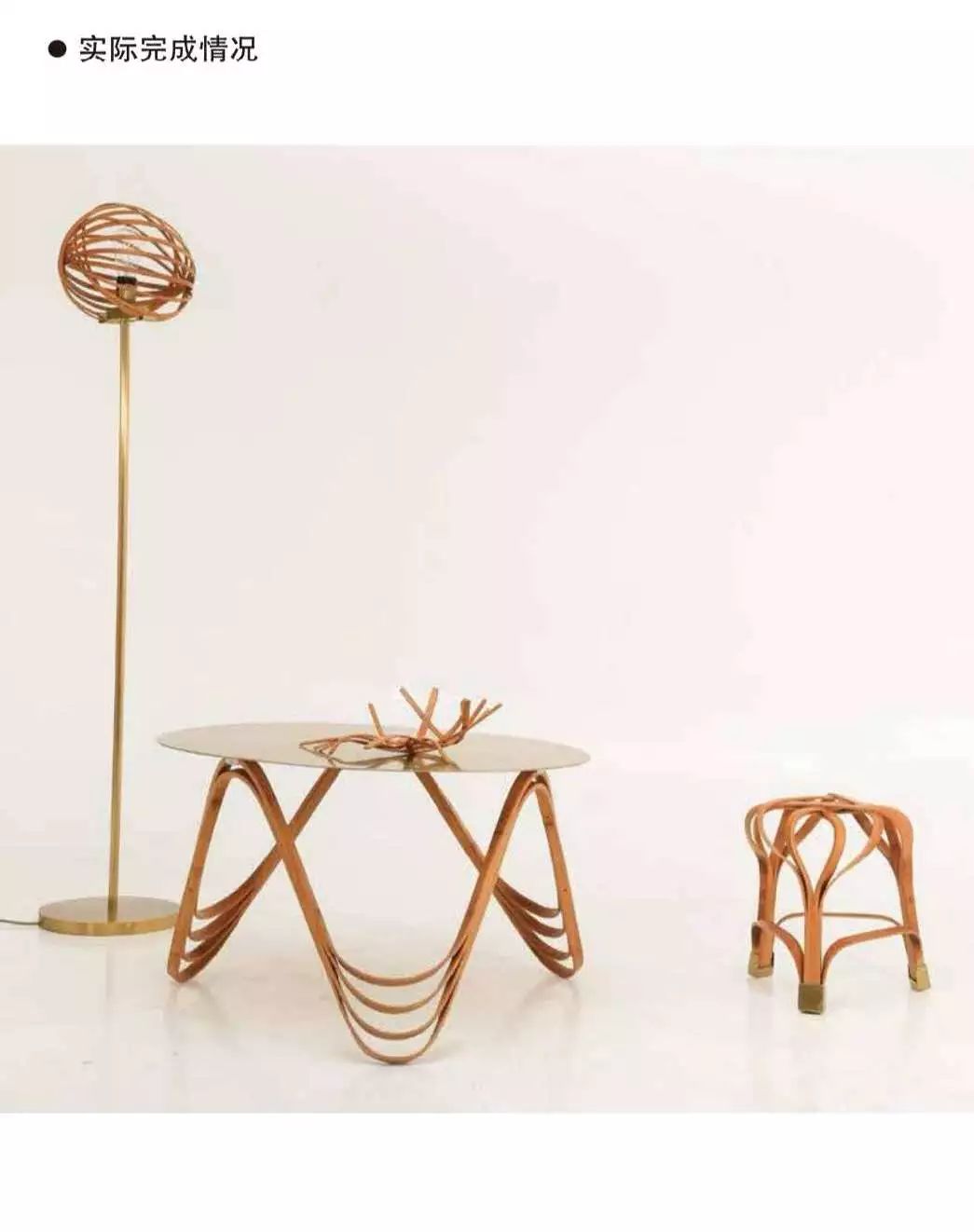 热弯技术的研究与应用主要是想深入了解竹材特性,包括竹子的生长习性