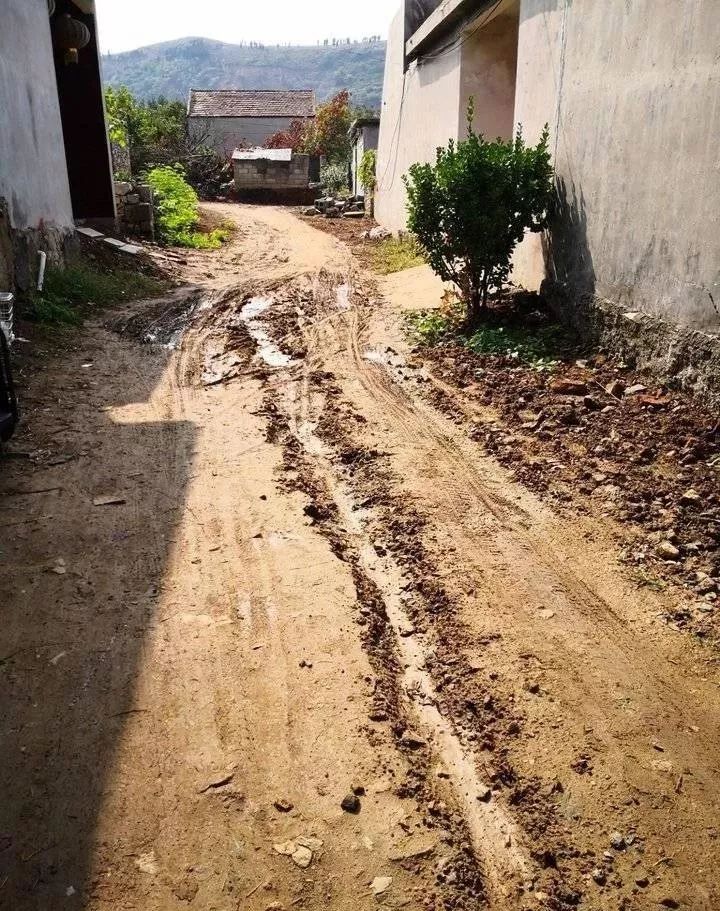 "晴天一身土,雨天一身泥"枣庄市中区齐村镇这个村村民急盼有条平坦路_
