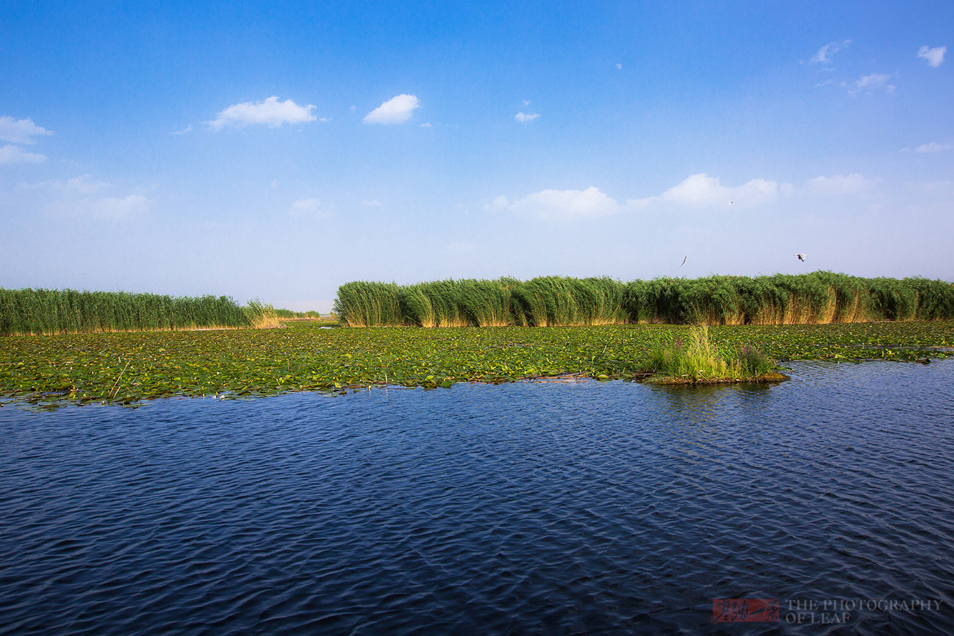 新疆博湖旅游景点图片