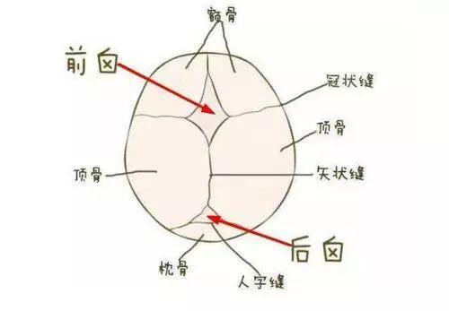 囟门不能见风？闭合早不好吗？关于囟门常见问题汇总_宝宝