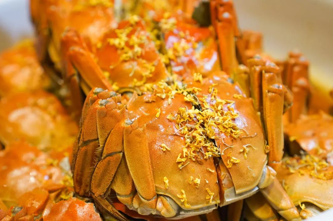 桂花香满时,始知醉蟹肥.