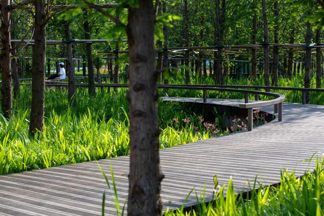 2019园冶杯专业奖丨成都保利和光屿湖